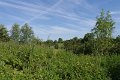 MJV_2099