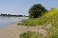 MJV_2124