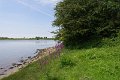 MJV_2127