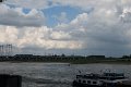 Honig_200516_153