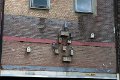 Honig_200516_237