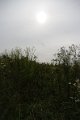 _MJV2071