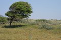 MJV_1363