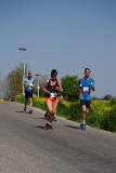 MJV_5706