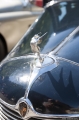 _mjv0235