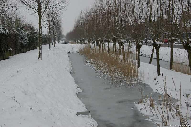 Luthulisingel_12.JPG